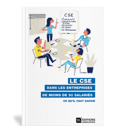 Le CSE dans les entreprises de moins de 50 salaries