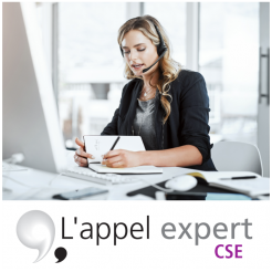 L appel expert CSE