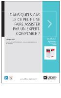 Dans_quels_cas_le_CE_peut-il_se_faire_assister_par_un_expert-comptable_1.PNG