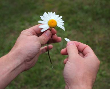 Rapport Sirugue : certains l'aiment un peu, beaucoup, pas du tout... 
