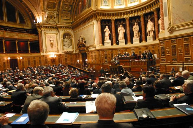 Le Sénat veut mettre le paquet contre la fraude sociale