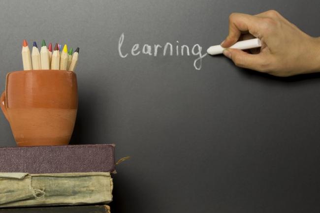 Les langues en passe d’être évincées du plan de formation ?