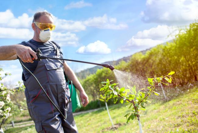 Produits phyto : alertez l'Anses des effets indésirables
