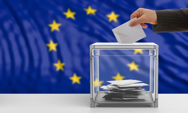 Elections européennes : les programmes sociaux des principaux candidats