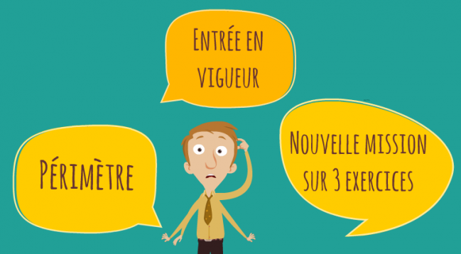 [Vidéo] 2 minutes pour comprendre la réforme des seuils d'audit légal