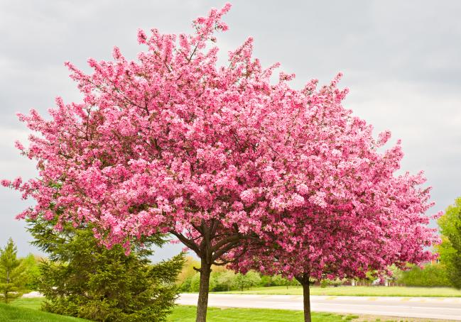 La branche comptable est florissante