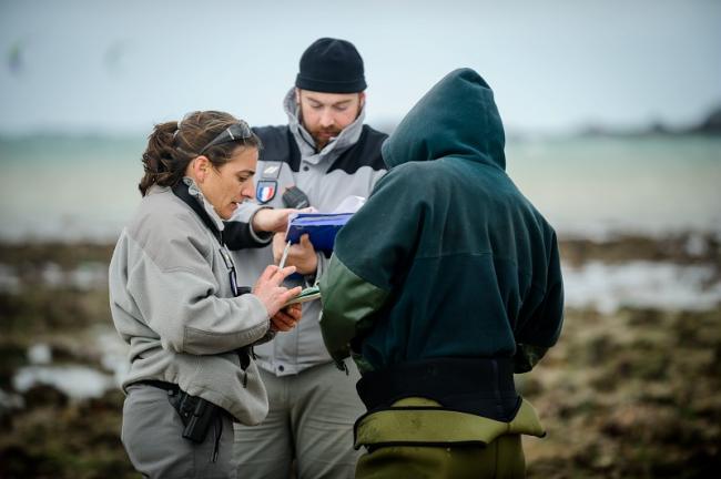 Loi OFB : l'Office français pour la biodiversité est créé