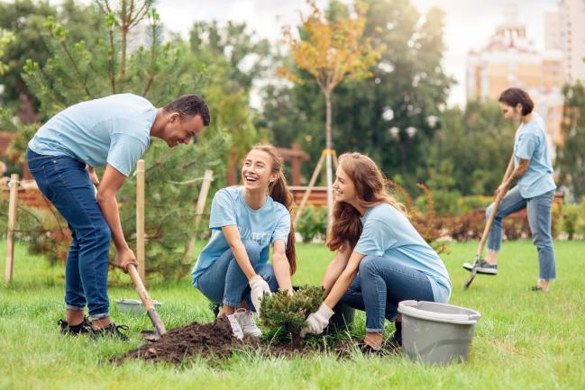 Activités sociales et culturelles : les CSE sur la voie de la transition écologique