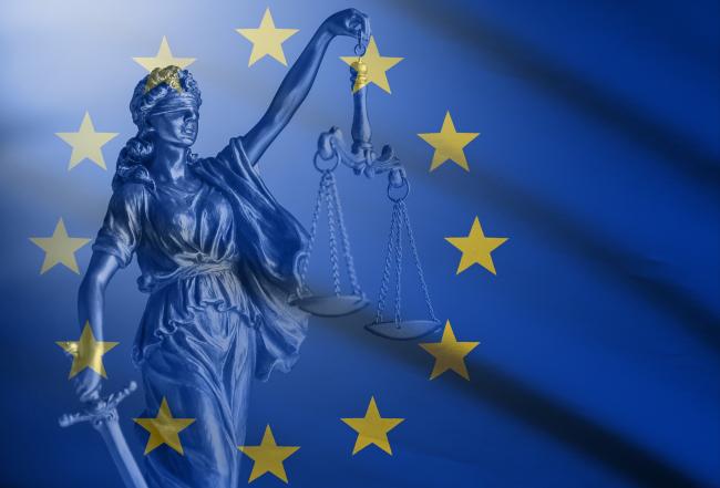 [Diaporama] les 6 transpositions de directives à suivre après la loi Ddadue