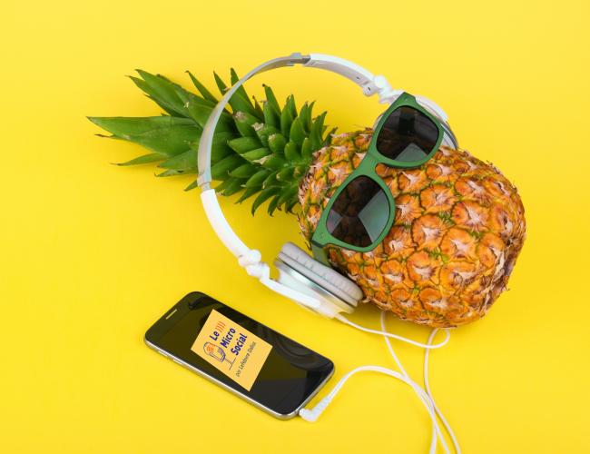 [Podcast Le Micro Social] A écouter cet été : qui a tué le plein emploi, agir en justice, les élections professionnelles, comprendre les mots du droit, les femmes syndicalistes, les coulisses des réformes du droit du travail...