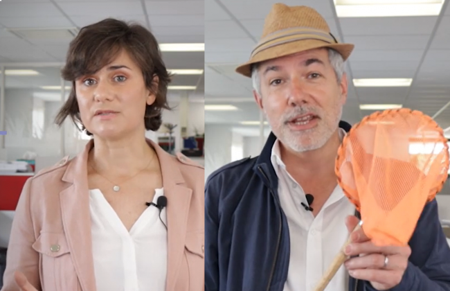 [Vidéo] L'actu CSE n°4 : le passe sanitaire, la santé au travail, la loi climat