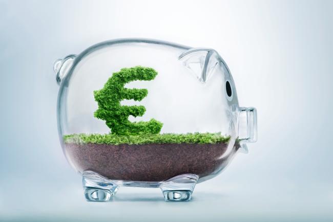 PLF 2022 : "On a fait un meilleur budget vert, mais on n'a pas mieux verdi le budget"