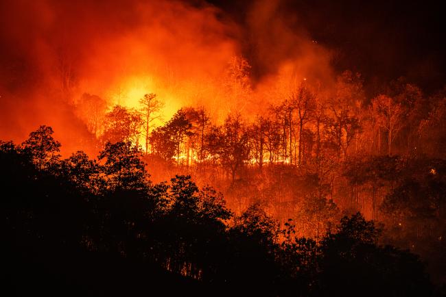 Inaction climatique de TotalEnergies : que retenir de l'ordonnance du juge déclarant l'action irrecevable ?